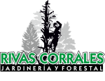 RIVAS CORRALES-png
