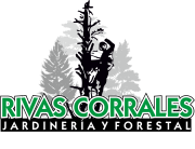 RIVAS CORRALES-png